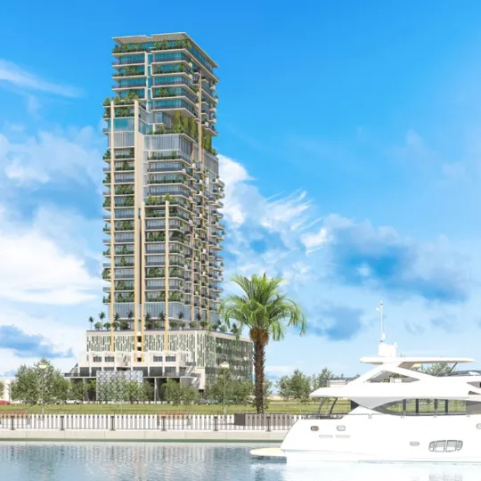 Project Gallery Image